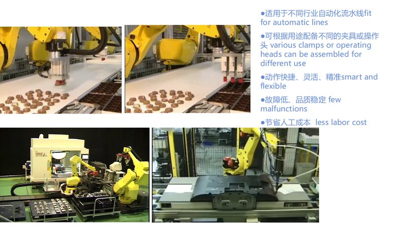 非标机器人：揭秘其型号与尺寸背后的奥秘